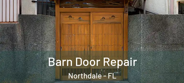  Barn Door Repair Northdale - FL