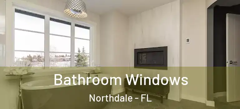  Bathroom Windows Northdale - FL