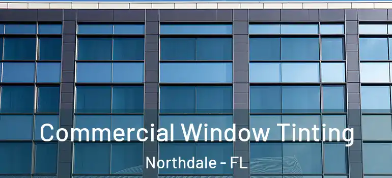  Commercial Window Tinting Northdale - FL