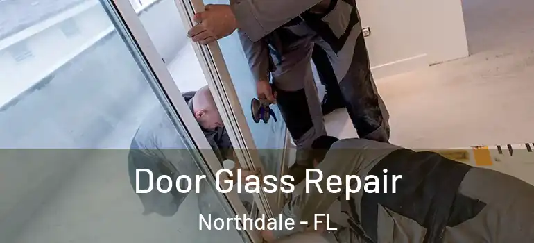  Door Glass Repair Northdale - FL