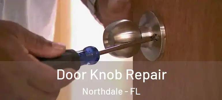  Door Knob Repair Northdale - FL