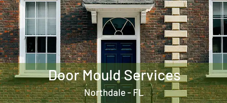  Door Mould Services Northdale - FL