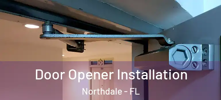  Door Opener Installation Northdale - FL