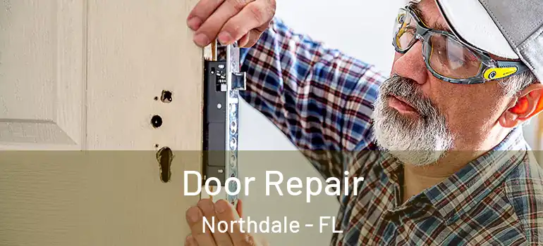  Door Repair Northdale - FL