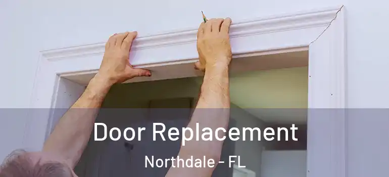  Door Replacement Northdale - FL