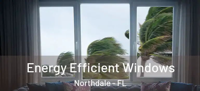  Energy Efficient Windows Northdale - FL