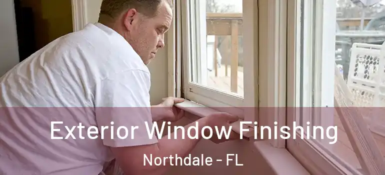  Exterior Window Finishing Northdale - FL