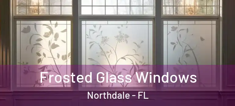  Frosted Glass Windows Northdale - FL
