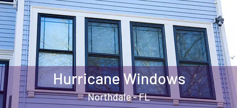  Hurricane Windows Northdale - FL