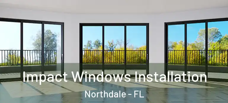  Impact Windows Installation Northdale - FL