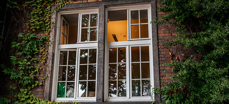 Energy Efficient Wood Windows in Northdale, FL