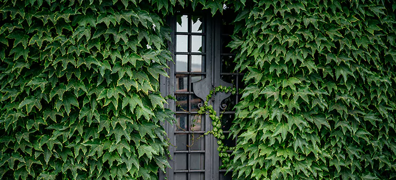 Garden Gate Repair in Northdale, FL