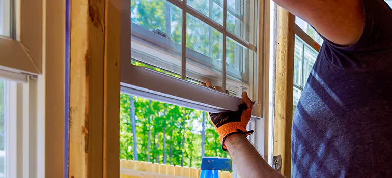Decorative Window Film Services in Northdale, FL