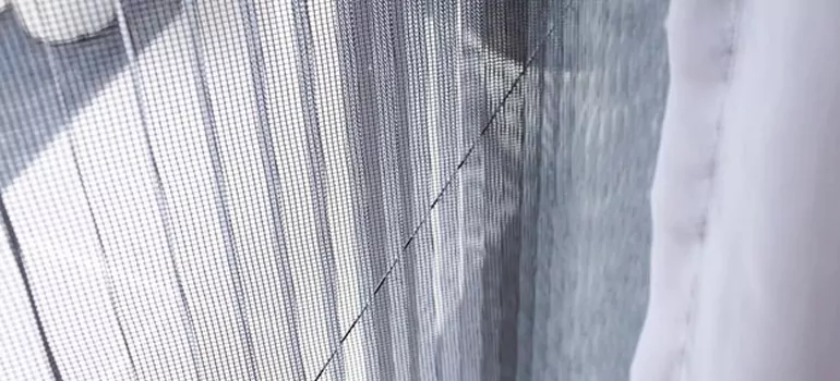 Fixing Screen Window Mesh in Northdale, FL