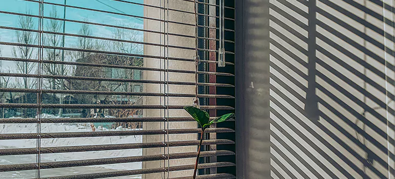 Commercial Window Blinds in Northdale, FL