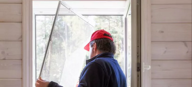 Expandable Window Screen Installation in Northdale, FL