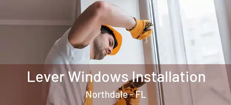  Lever Windows Installation Northdale - FL