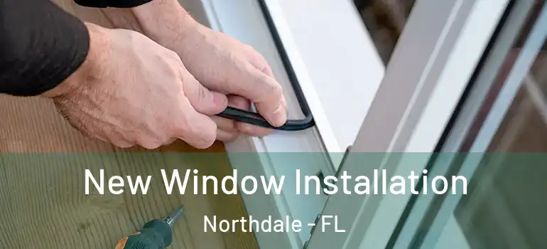  New Window Installation Northdale - FL