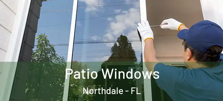 Patio Windows Northdale - FL