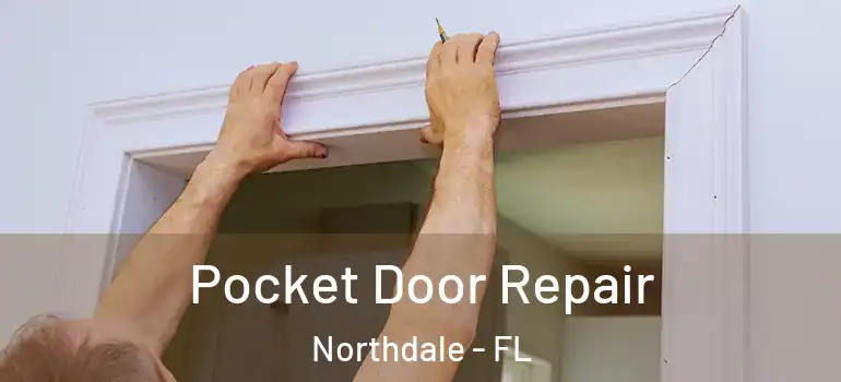  Pocket Door Repair Northdale - FL
