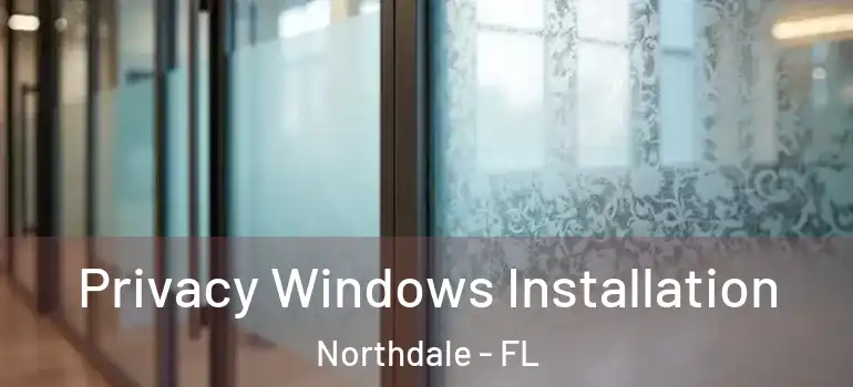  Privacy Windows Installation Northdale - FL