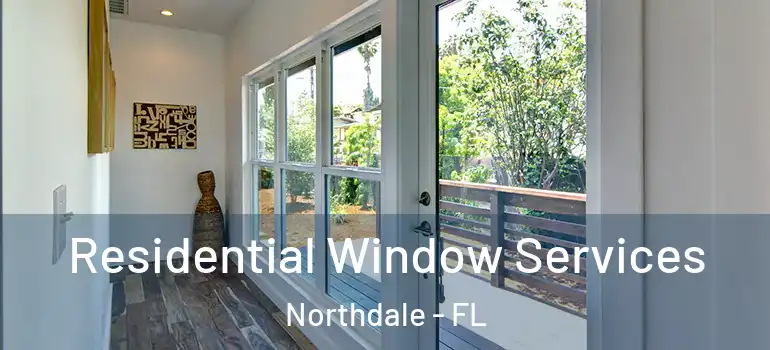  Residential Window Services Northdale - FL