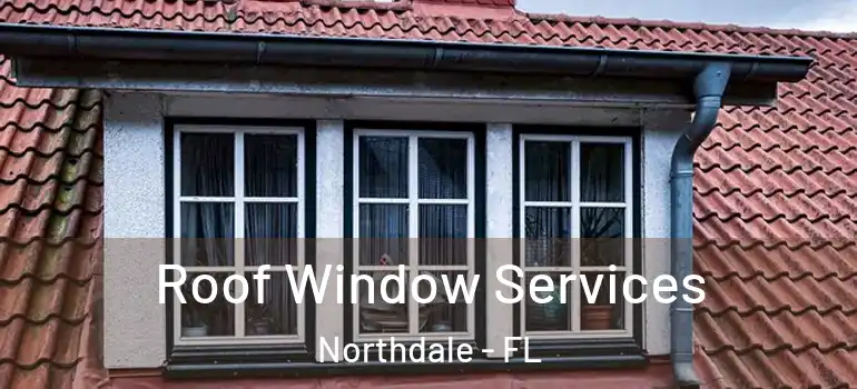  Roof Window Services Northdale - FL