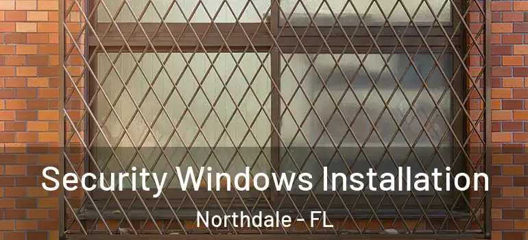  Security Windows Installation Northdale - FL