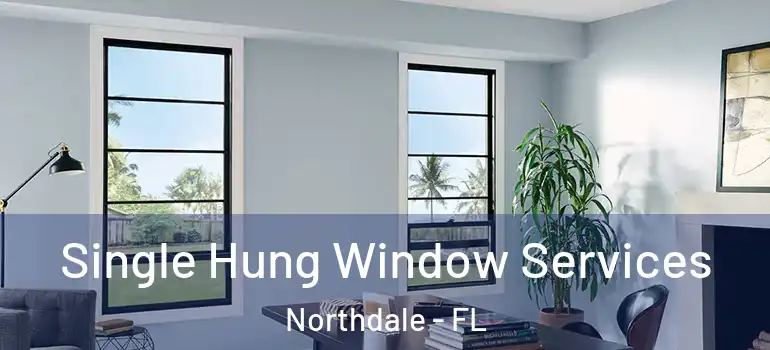  Single Hung Window Services Northdale - FL