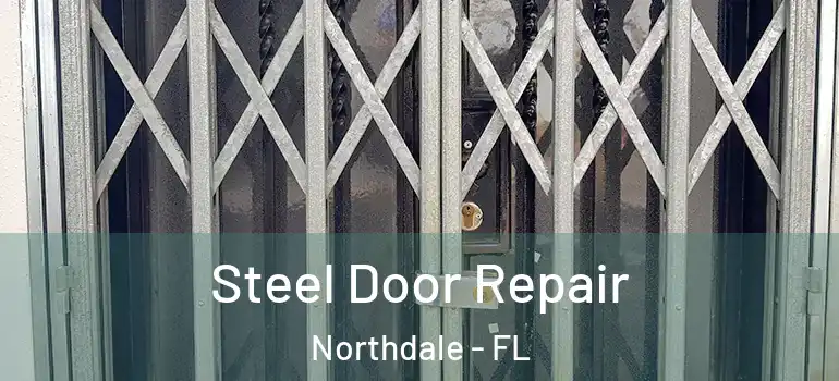  Steel Door Repair Northdale - FL
