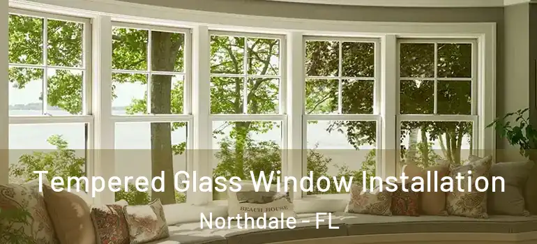  Tempered Glass Window Installation Northdale - FL