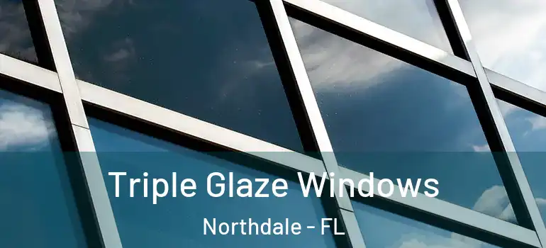  Triple Glaze Windows Northdale - FL
