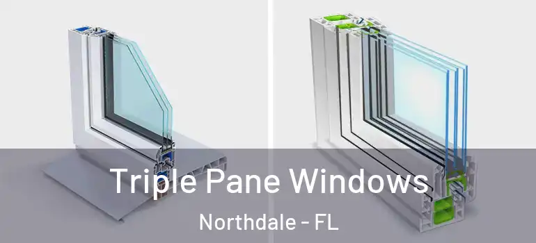  Triple Pane Windows Northdale - FL