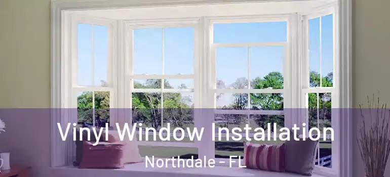  Vinyl Window Installation Northdale - FL