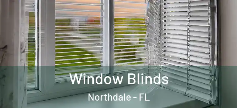  Window Blinds Northdale - FL