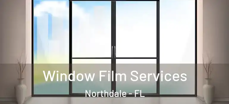  Window Film Services Northdale - FL