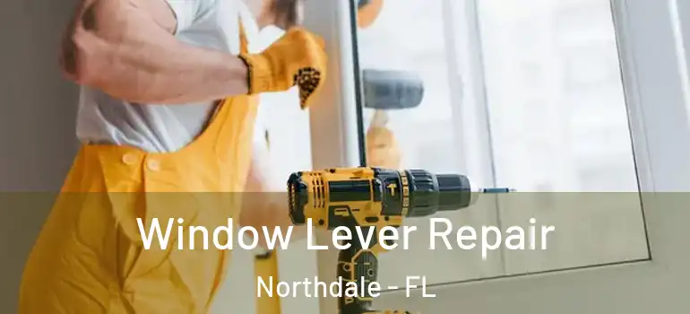  Window Lever Repair Northdale - FL