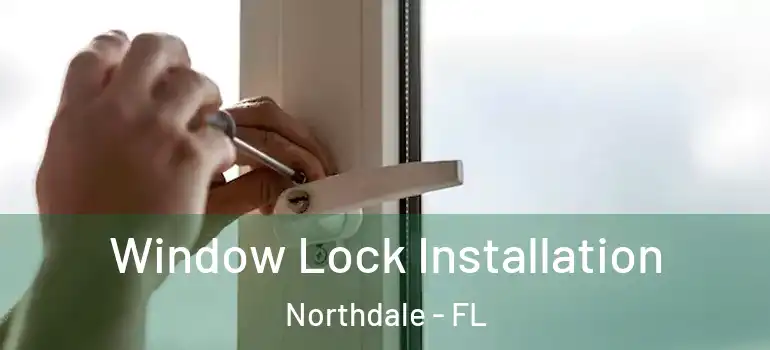  Window Lock Installation Northdale - FL