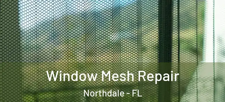  Window Mesh Repair Northdale - FL