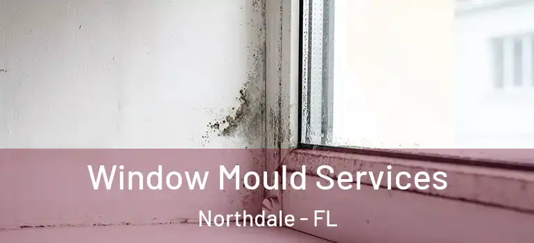  Window Mould Services Northdale - FL