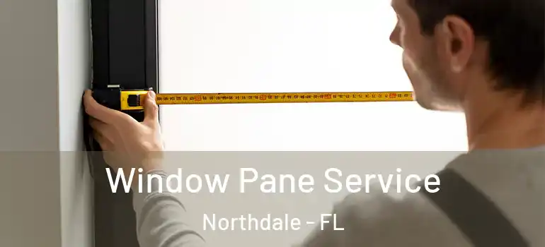  Window Pane Service Northdale - FL