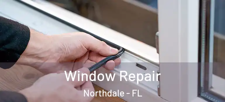  Window Repair Northdale - FL