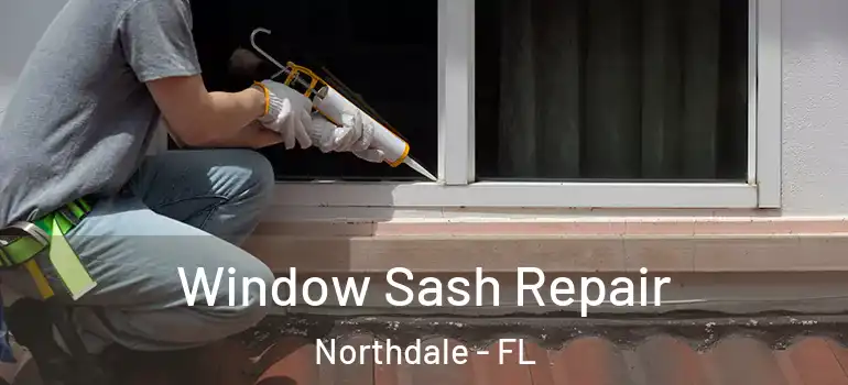  Window Sash Repair Northdale - FL
