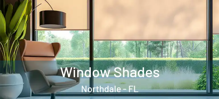  Window Shades Northdale - FL