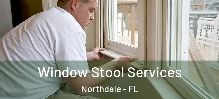  Window Stool Services Northdale - FL