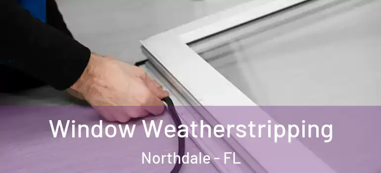  Window Weatherstripping Northdale - FL